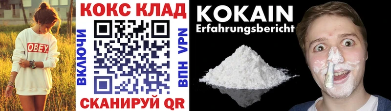 продажа наркотиков  Ленск  COCAIN Fish Scale 